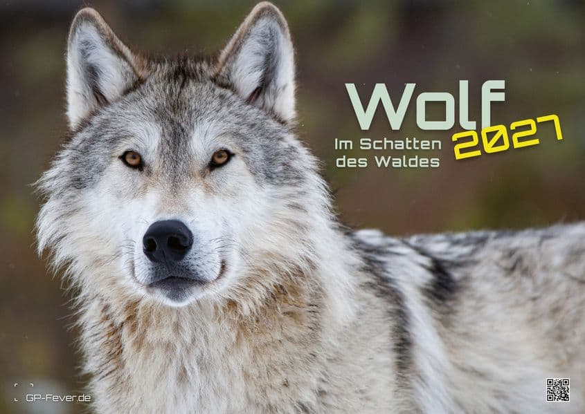 Wolf - Im Schatten des Waldes - 2027 - Kalender DIN A2