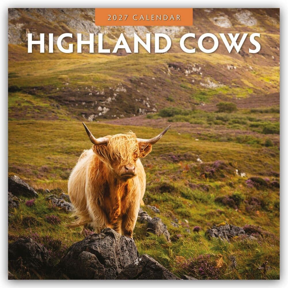Highland Cows - Hochland Kühe 2027 - 16-Monatskalender