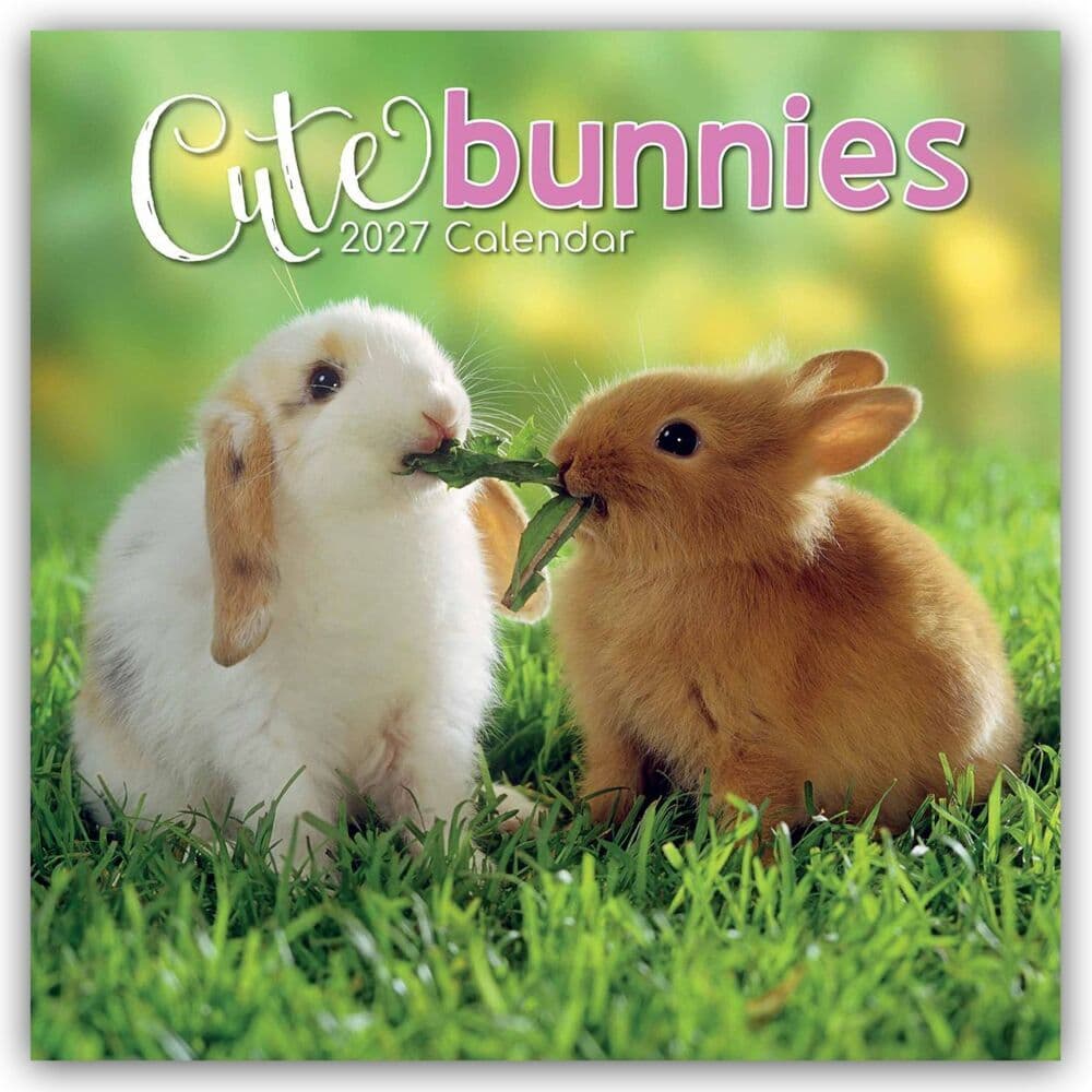 Cute Bunnies - Niedliche Kaninchen 2027 - 16-Monatskalender