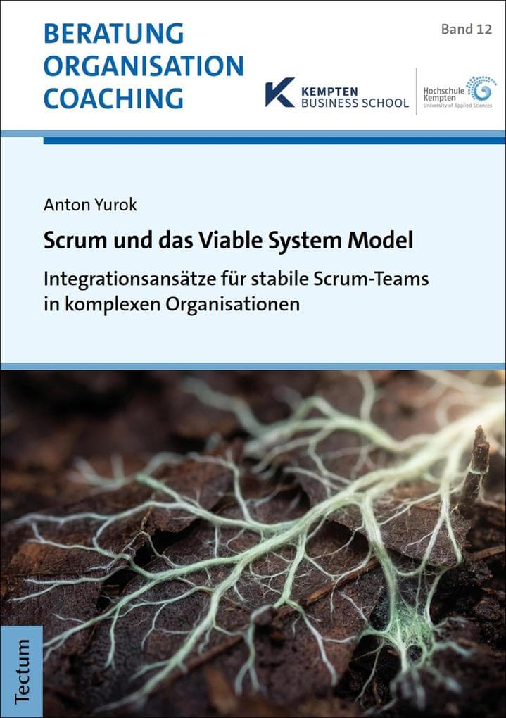 Scrum und das Viable System Model