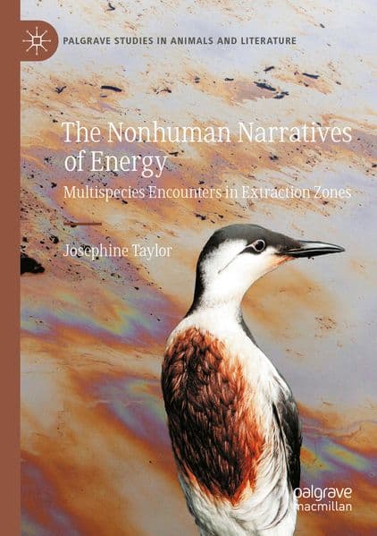 The Nonhuman Narratives of Energy