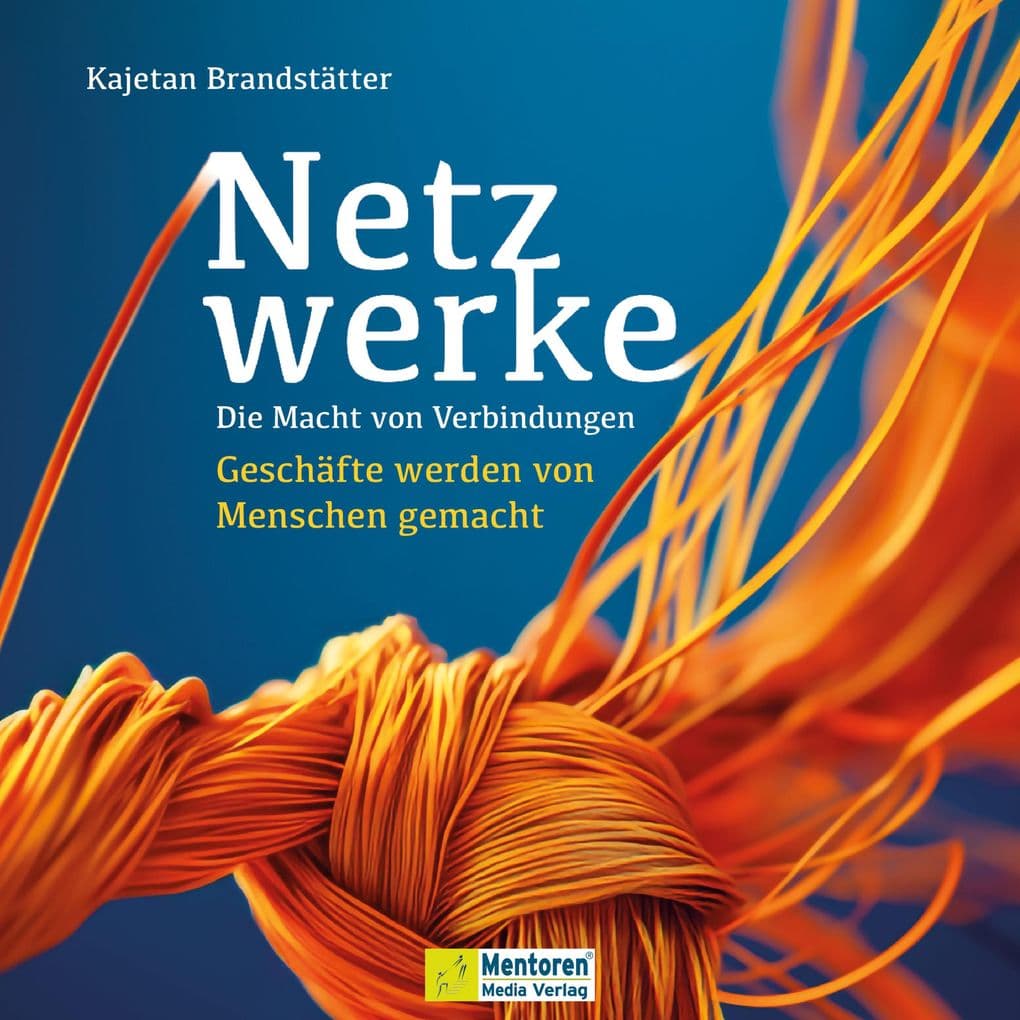 Netzwerke - Die Macht von Verbindungen