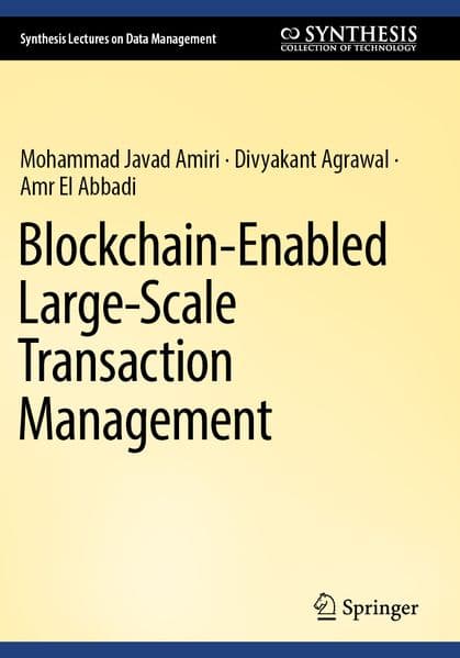 Blockchain-Enabled Large-Scale Transaction Management