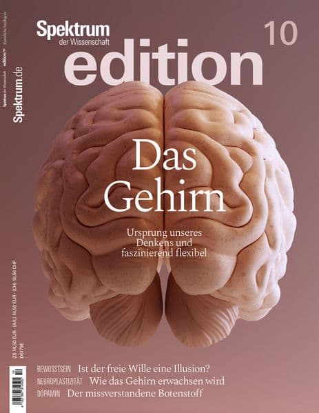 Spektrum edition Nr. 10 - Das Gehirn