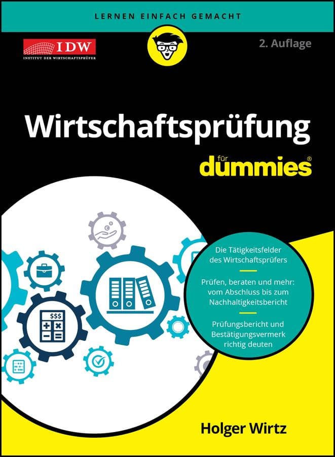Wirtschaftsprüfung für Dummies