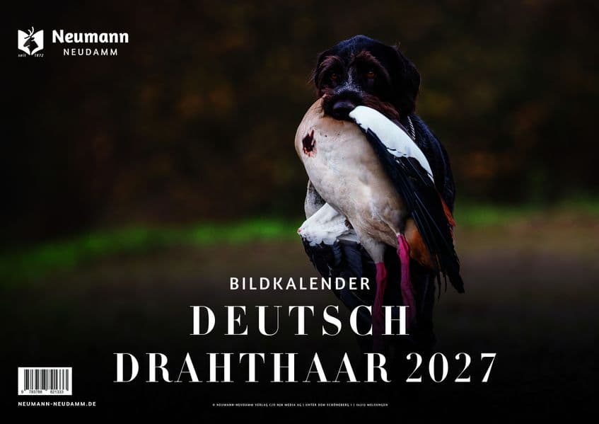Deutsch Drahthaar 2027 - Themenkalender