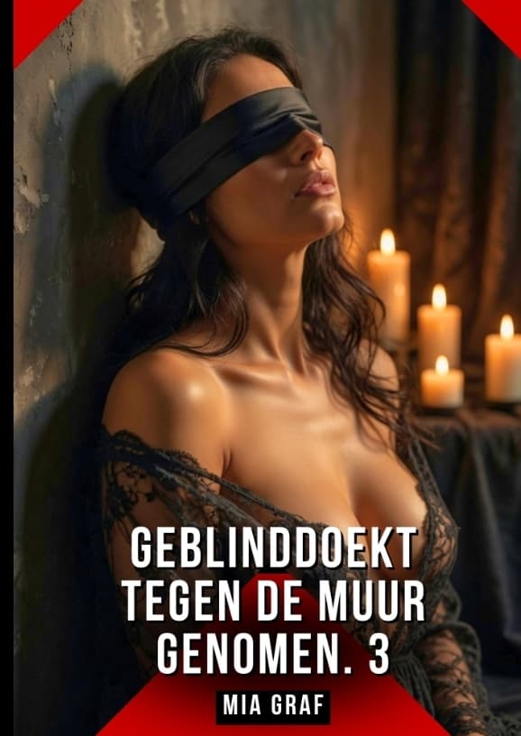 Geblinddoekt tegen de muur genomen. 3