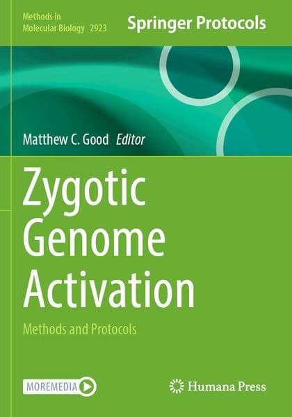 Zygotic Genome Activation