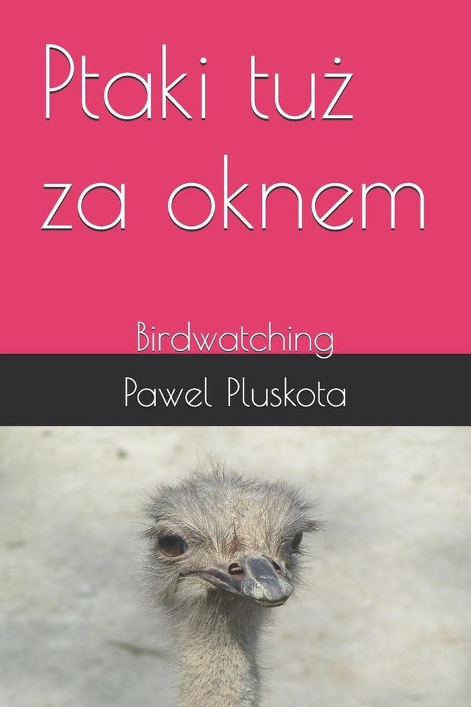 Ptaki tuż za oknem