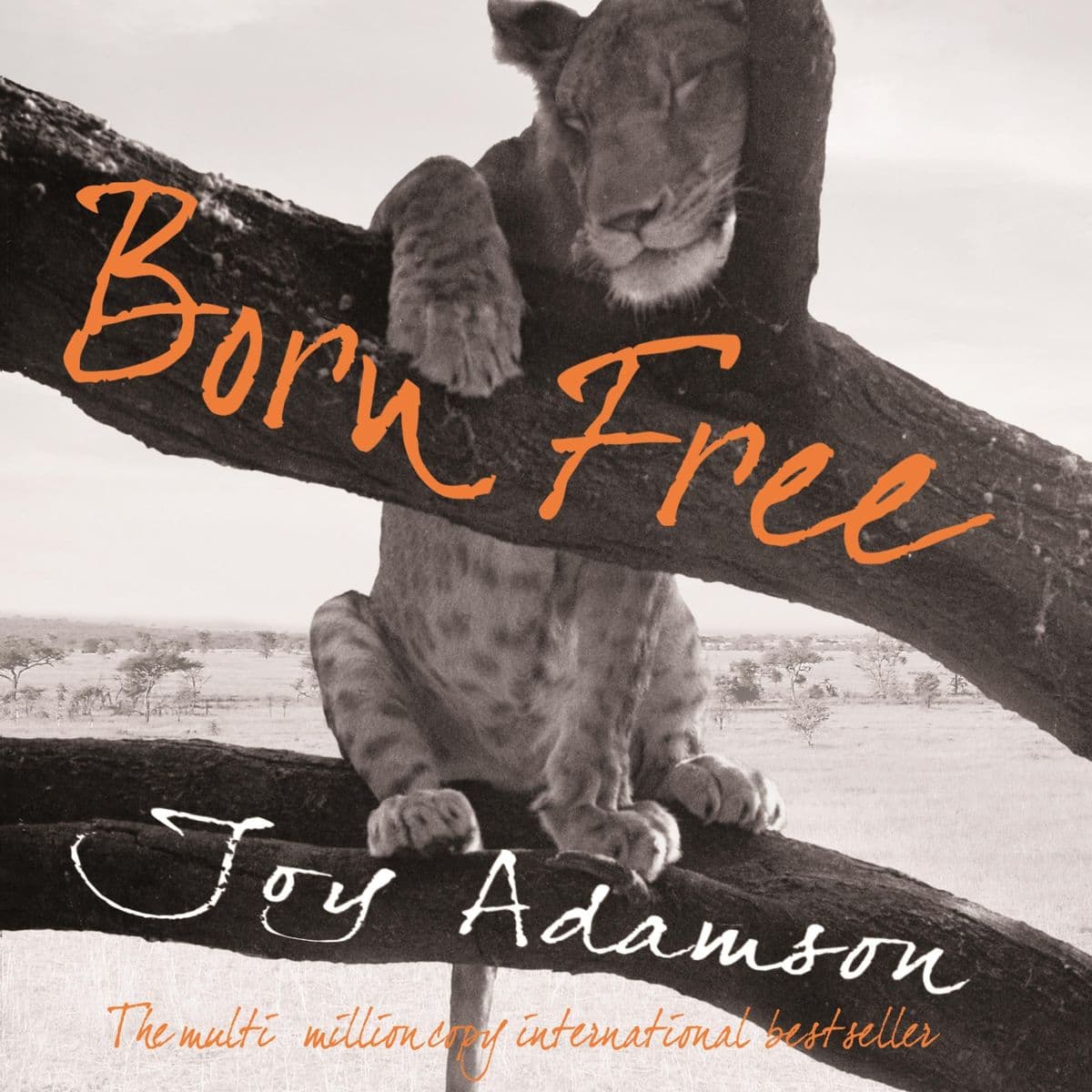 Born Free