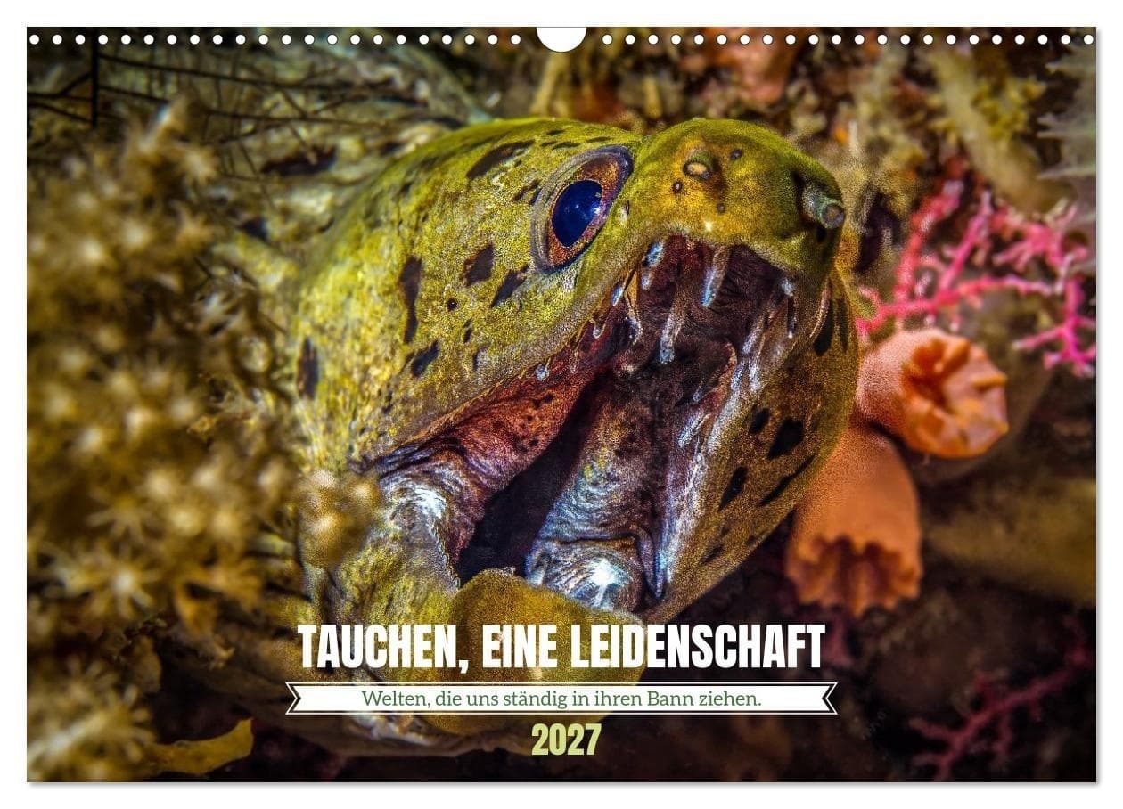 TAUCHEN, EINE LEIDENSCHAFT (Wandkalender 2027 DIN A3 quer), CALVENDO Monatskalender
