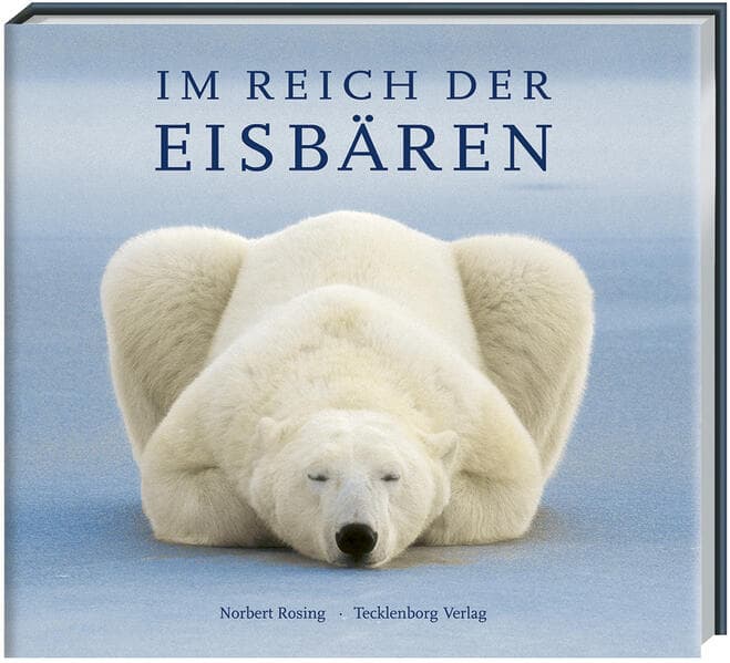 Eisbären