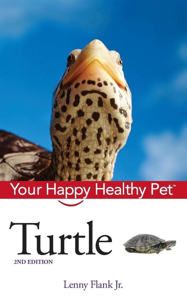 Turtle