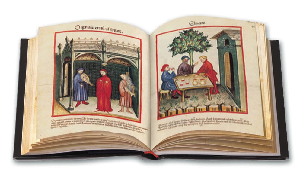 Tacuinum Sanitatis in Medicina