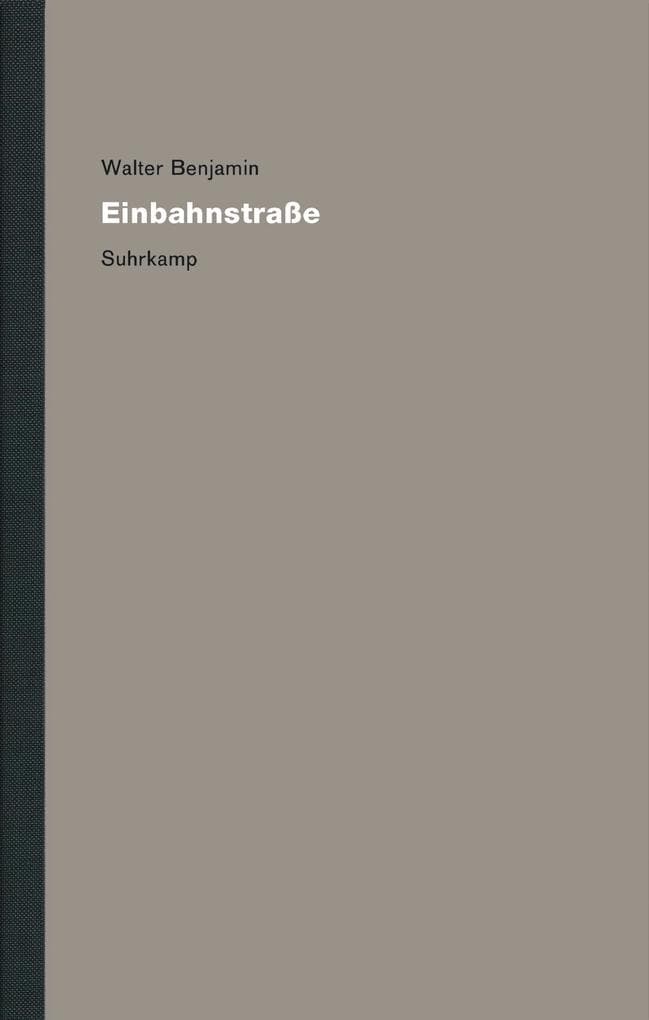 Werke und Nachlaß. Kritische Gesamtausgabe 8