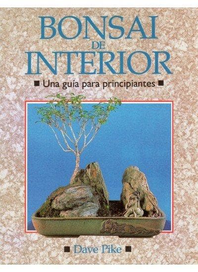 Bonsai de interior : una guía para principiantes