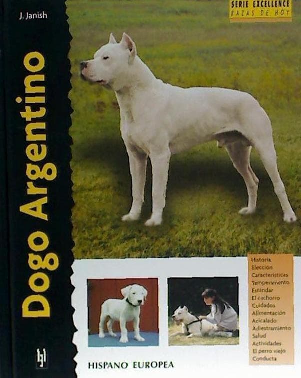 Dogo argentino