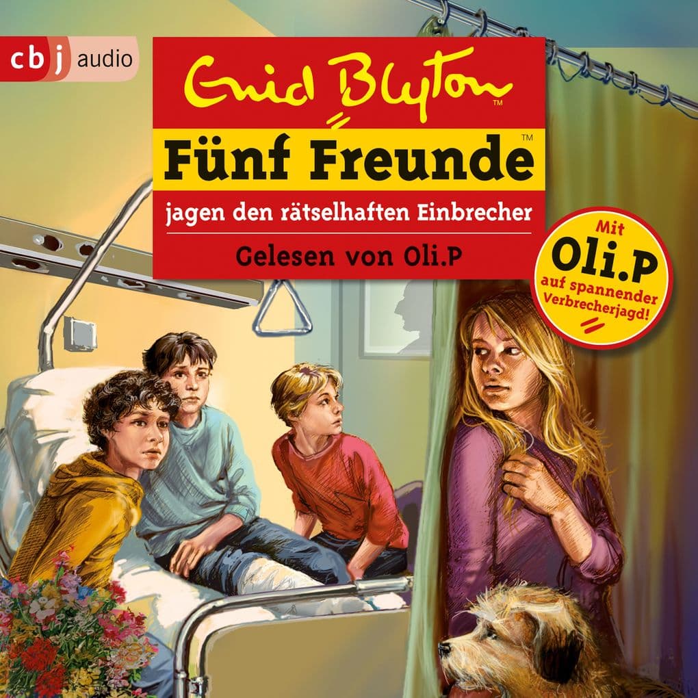 Fünf Freunde jagen den rätselhaften Einbrecher