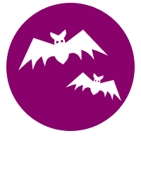 Geschichten von Vampiren und Gestaltenwandlern.