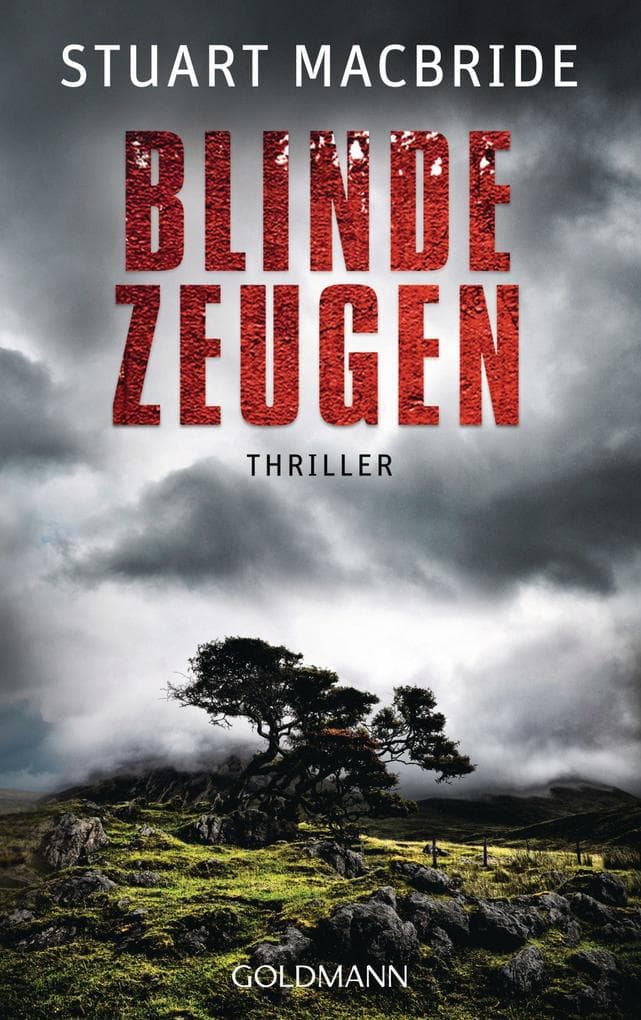 Blinde Zeugen: Thriller