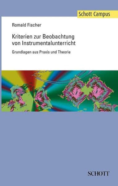 Kriterien zur Beobachtung von Instrumentalunterricht: Grundlagen aus Praxis und Theorie