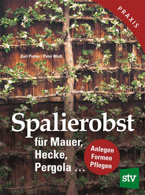 Spalierobst: für Mauer, Hecke, Pergola...Anlegen, Formen, Pflegen