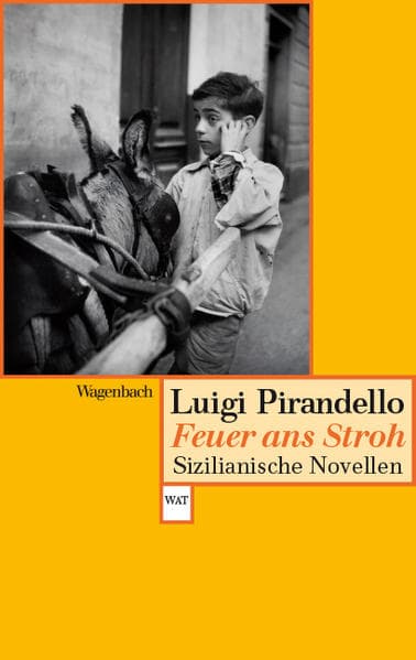 Feuer ans Stroh: Sizilianische Novellen