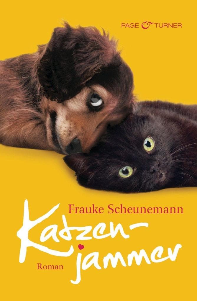 Katzenjammer: Roman