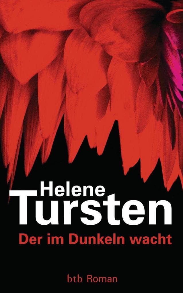 Der im Dunkeln wacht: Roman