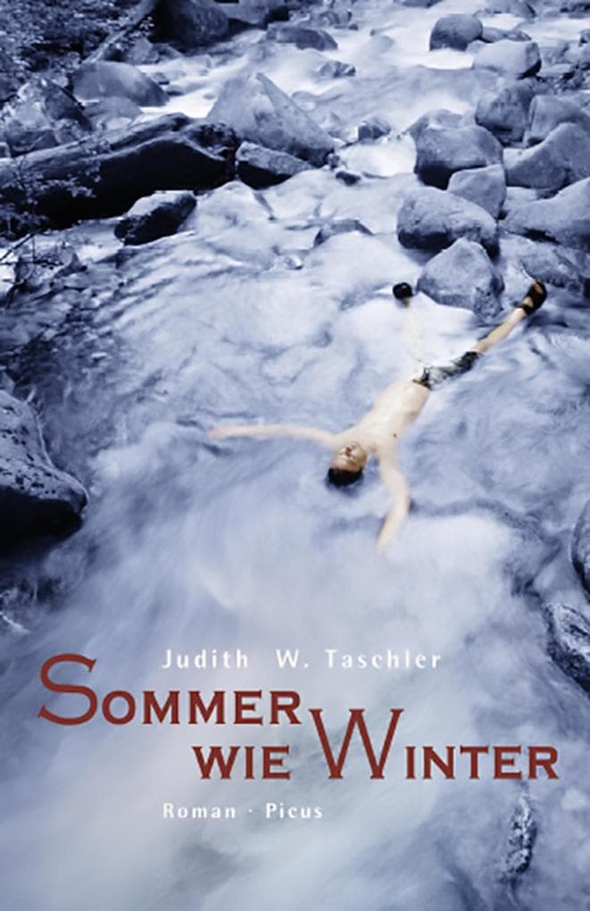 Sommer wie Winter: Roman