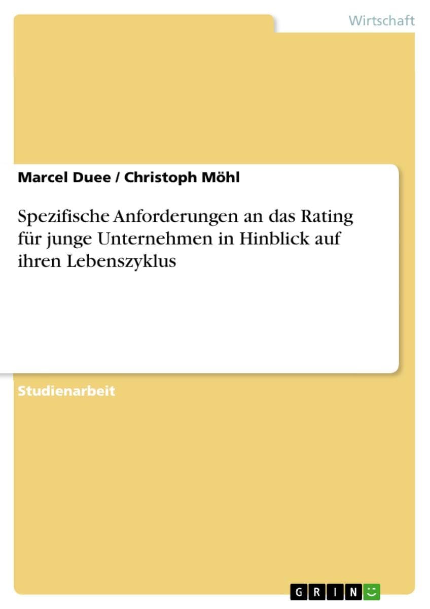Spezifische Anforderungen an das Rating für junge Unternehmen in Hinblick auf ihren Lebenszyklus