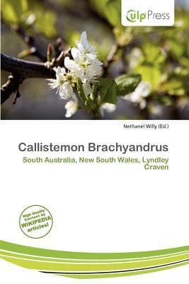 Callistemon Brachyandrus: South Australia, New South Wales, Lyndley Craven