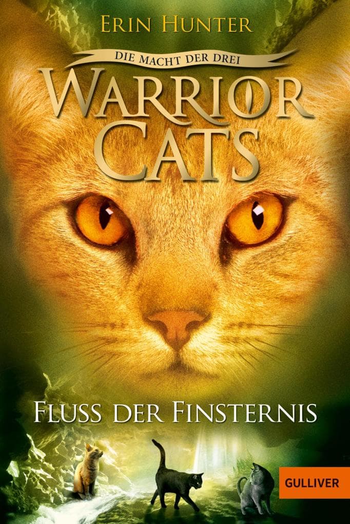 Warrior Cats Staffel 03/2. Die Macht der Drei. Der Fluss der Finsternis: Staffel III, Band 2
