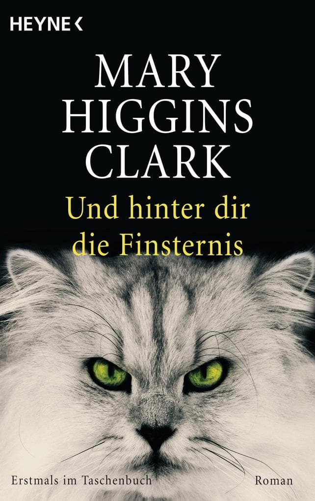 Und hinter dir die Finsternis: Roman