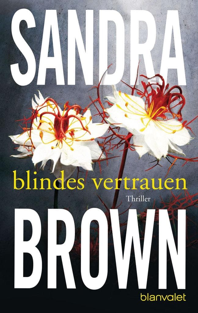 Blindes Vertrauen: Roman - Atemlose Spannung trifft auf prickelnde Romantik - der Pageturner der SPIEGEL-Bestsellerautorin!