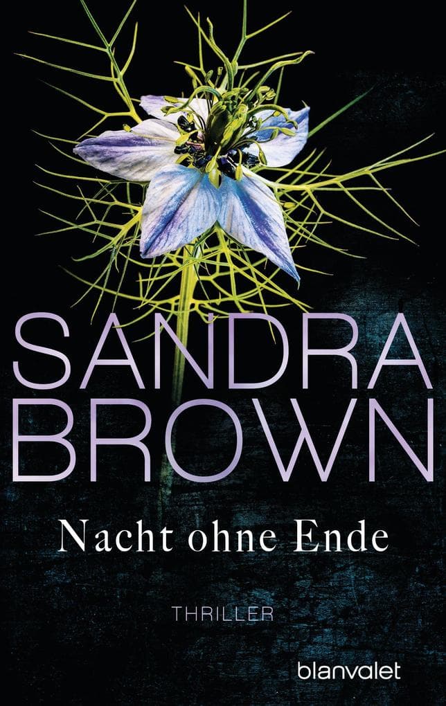 Nacht ohne Ende: Roman - Atemlose Spannung trifft auf prickelnde Romantik - der Pageturner der SPIEGEL-Bestsellerautorin!