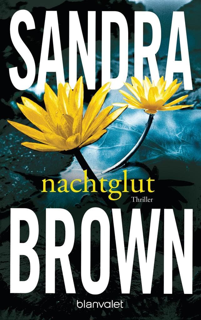 Nachtglut: Roman - Atemlose Spannung trifft auf prickelnde Romantik - der Pageturner der SPIEGEL-Bestsellerautorin!