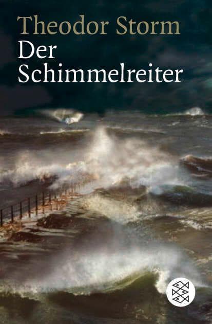 Der Schimmelreiter: Novelle