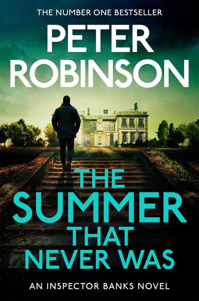 The Summer That Never Was: Sweltering, Compulsive Crime Mystery in the Number One Bestselling Series
