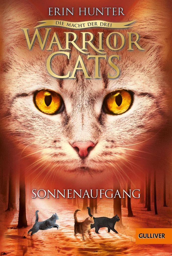 Warrior Cats Staffel 03/6. Die Macht der drei. Sonnenaufgang: Staffel III, Band 6
