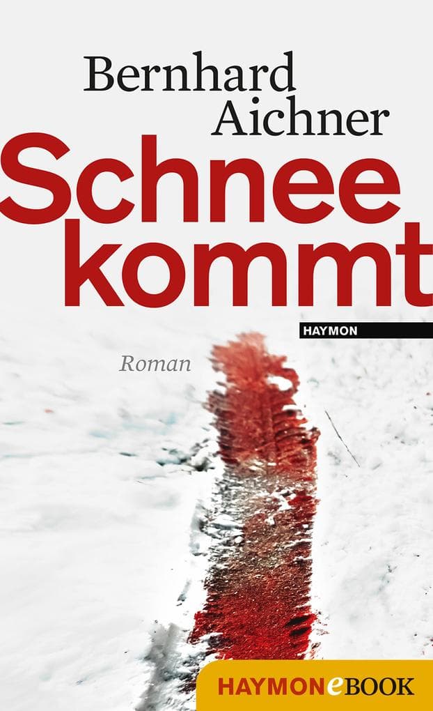Schnee kommt: Roman
