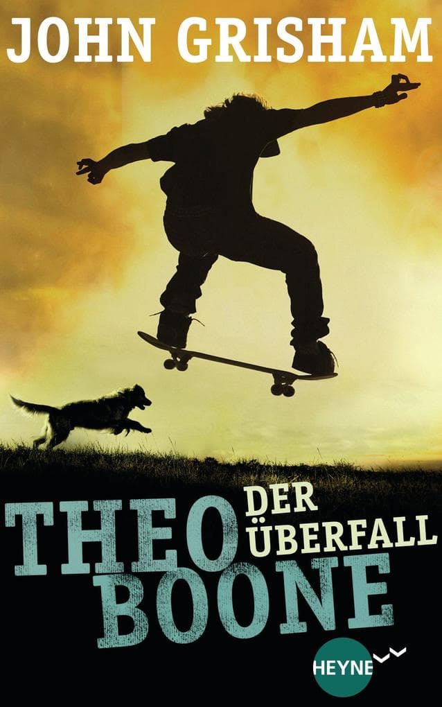 Theo Boone - Der Überfall: Band 4