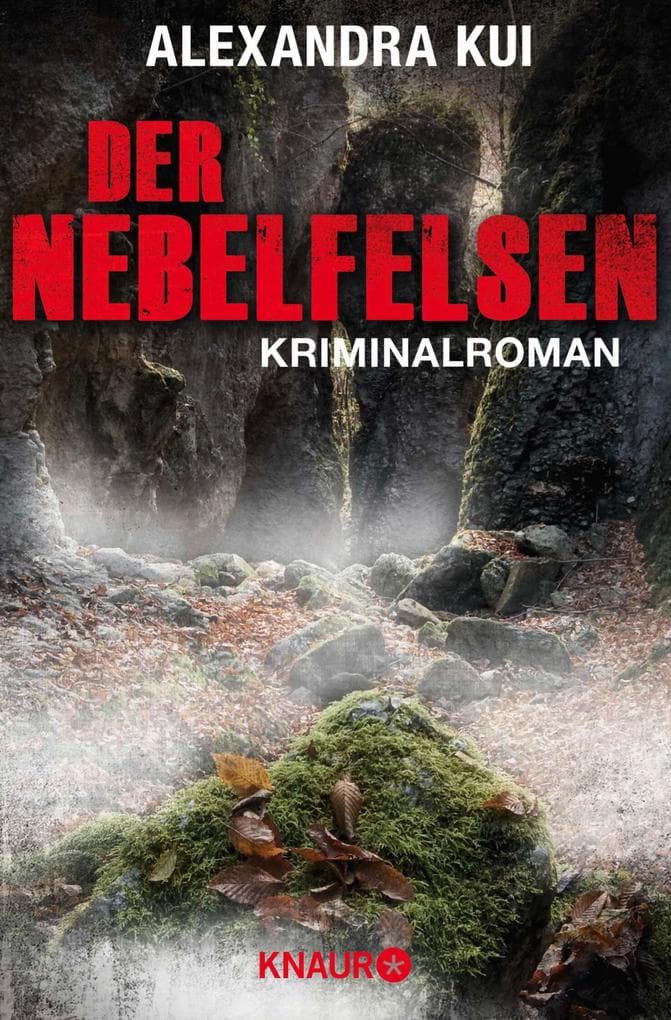 Der Nebelfelsen: Kriminalroman
