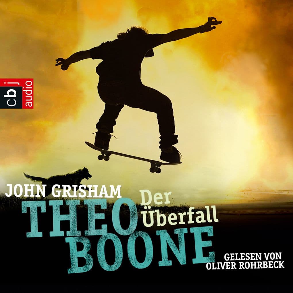 Theo Boone: Der Überfall: Band 4