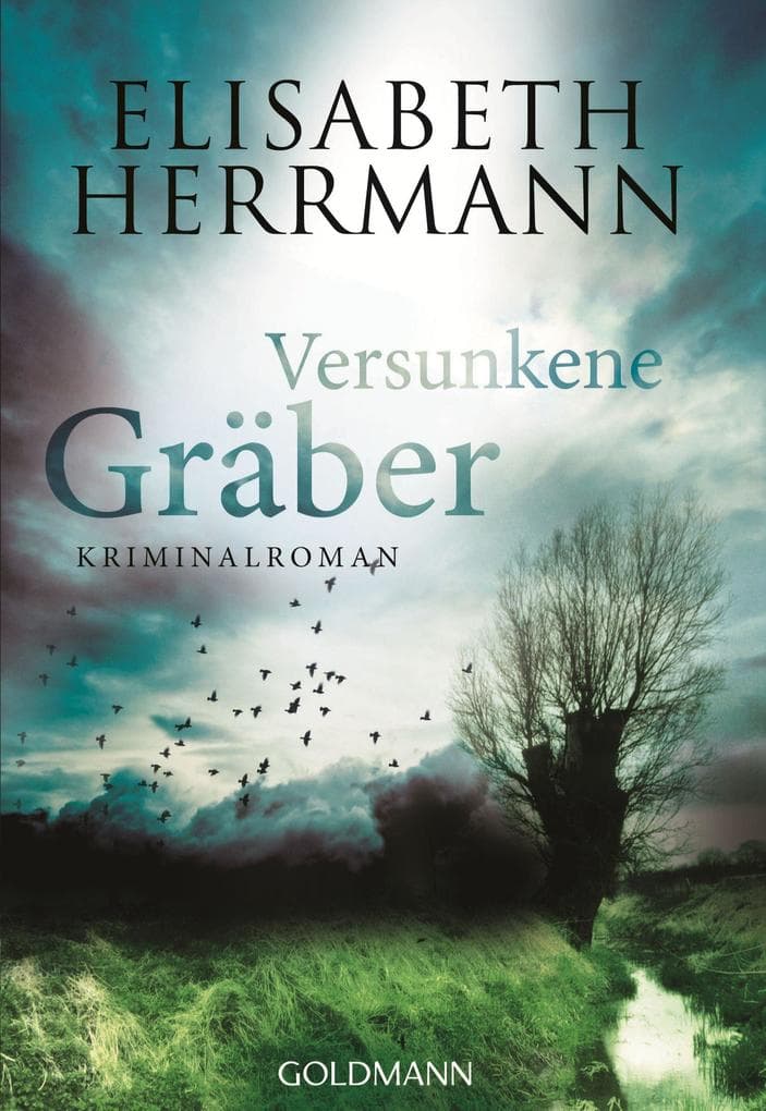 Versunkene Gräber: Kriminalroman