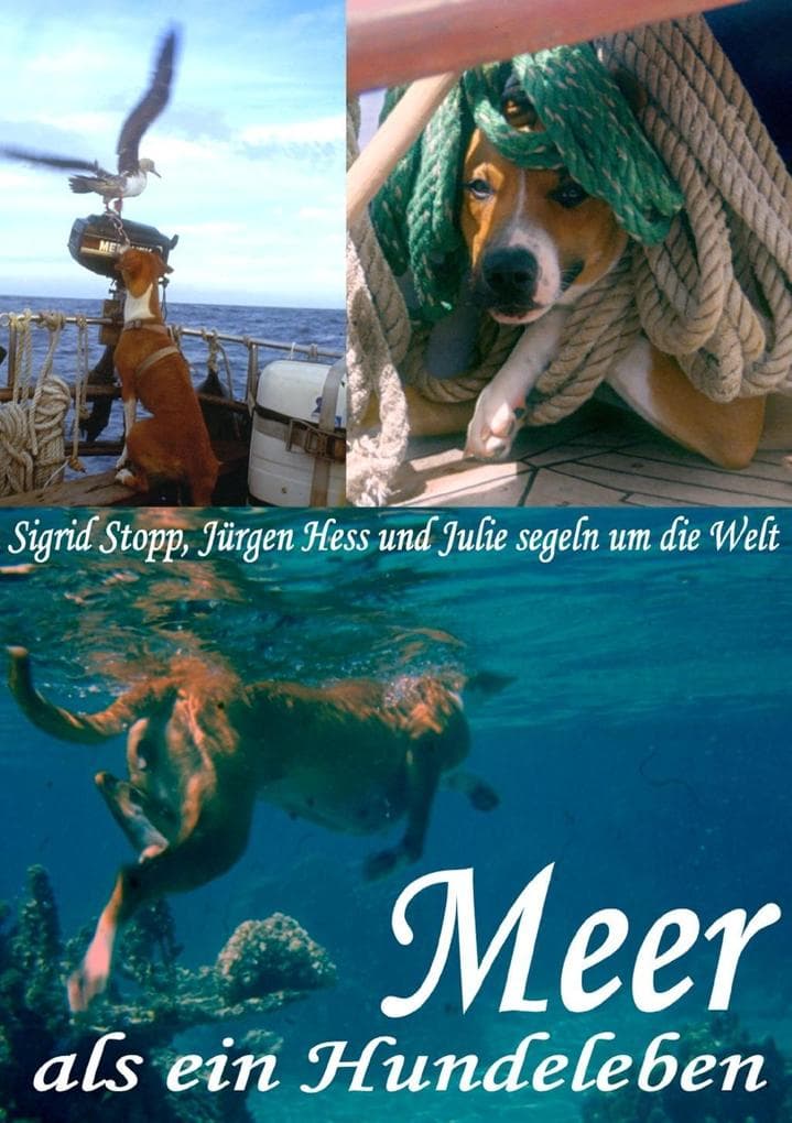 Meer als ein Hundeleben: mit allen Wasser gewaschen