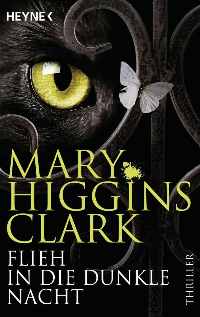 Flieh in die dunkle Nacht: Thriller