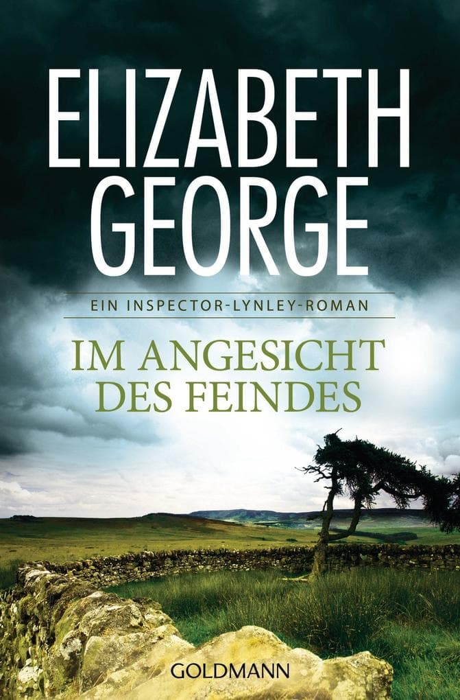 Im Angesicht des Feindes: Roman