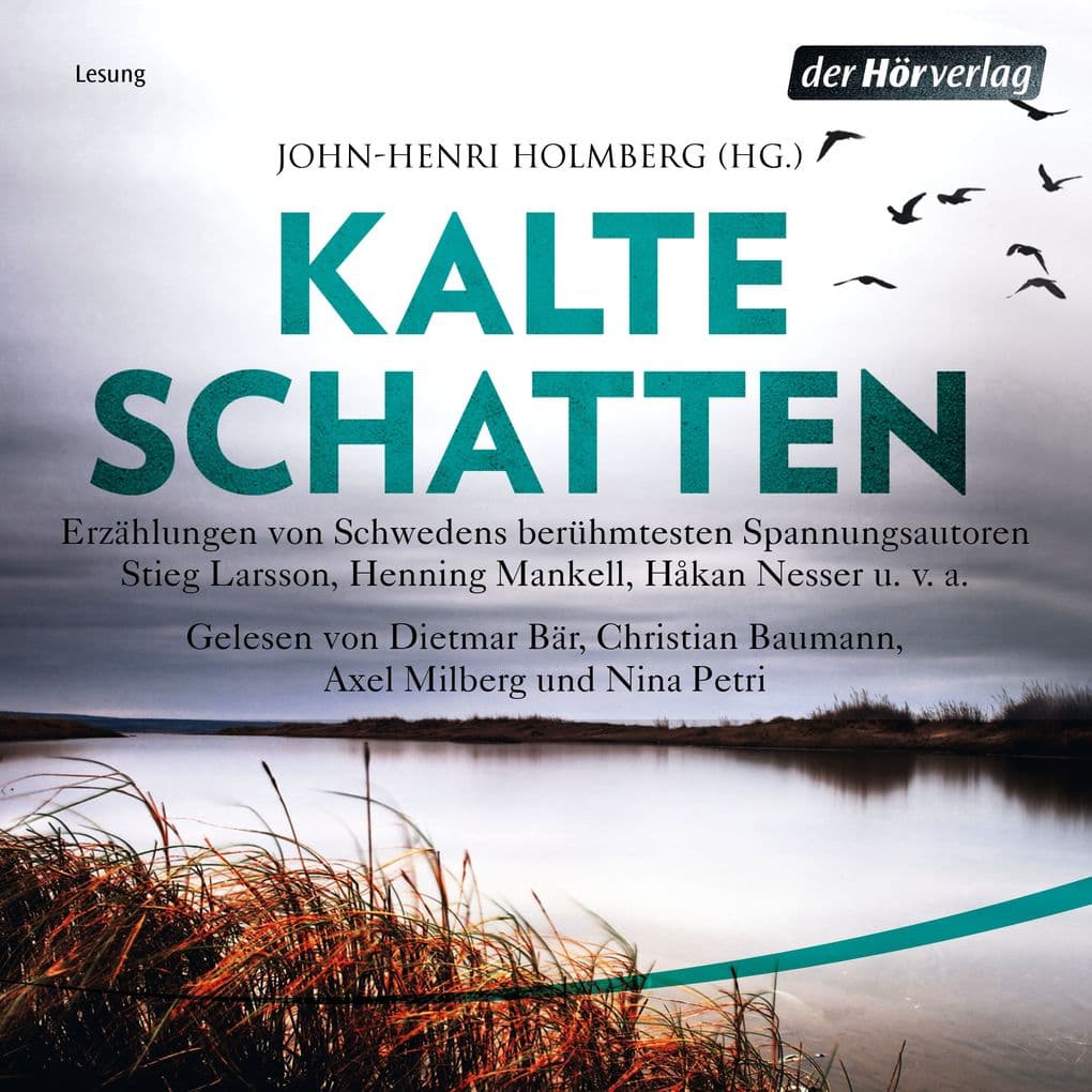 Kalte Schatten: Erzählungen von Schwedens berühmtesten Spannungsautoren - Åke Edwardson, Åsa Larsson, Stieg Larsson, Henning Mankell, Håkan Nesser u.v.a.