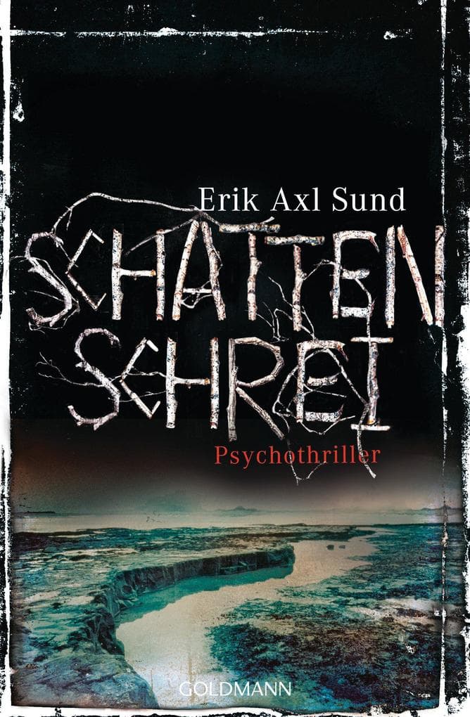 Schattenschrei: Psychothriller